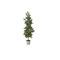 Contemporary Home Living 3' Potted Princess Pine Pencil Artificial Christmas Tree, Unlit